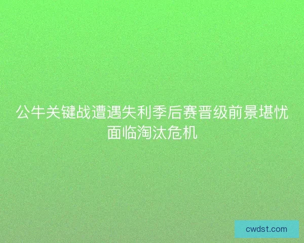 公牛关键战遭遇失利季后赛晋级前景堪忧面临淘汰危机