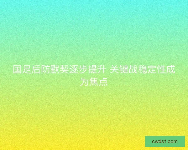国足后防默契逐步提升 关键战稳定性成为焦点